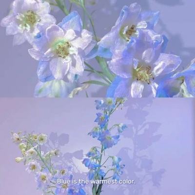 Welcome彩票注册截图